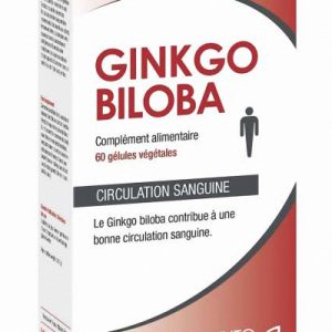 Ginkgo Biloba extra fort (60 gélules)